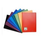Prot�ge - documents a4 40 pochettes 80 vues assortis sans choix possible