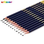 Qcyl - ensemble de crayons de dessin professionnel, 12 crayons graphite 6h - 12b, idal pour dessiner ...