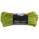 Raphia - vert anis - emballage cadeau - loisirs cr�atifs - diy - 1m50 - clairefontaine