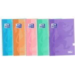 School classic write&erase lot de 5 cahier a spirale couverture extra rigide 4 x 4 avec marge 80 feuilles ...