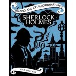 Sherlock holmes