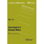 Some aspects of brownian motion part 2 : some recent martingale problems