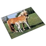 Sous - main cheval et poulain, 400 x 530 mm