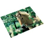 Sous mains poster 400 x 530 mm cheval devant la cloture
