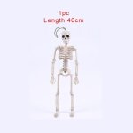 Mod�le de squelette anatomique, diam�tre humain flexible, 40 / 14 / 9 cm, mod�le d'os, pour apprendre ...