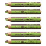 Stabilo lot de 6 crayons multi - talents woody 3 in 1 duo - vert clair - marron