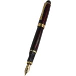 Stylo plume avec bote - cadeau