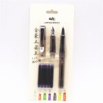 Stylo a plume fine moyenne pour la pratique de la calligraphie, encre bleue et noire transparente, nouvelle ...
