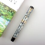 Stylo plume en r�sine acrylique 100, stylo a encre iridium f, bo�te d'origine