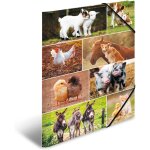 Tianyi - 19454 classeur din a3 animaux de la ferme en carton solide avec impression intérieure complète ... Tianyi - 19454 classeur din a3 animaux de la ferme en carton solide avec impression intérieure complète ...
