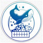 Timbres de cire a motifs, kit de timbres r�tro en bois, s�rie t�te de baleine en cuivre, 2022, nouveaut� ...