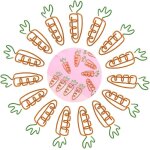 Trombones en forme de carotte : mignons, durables et r�utilisables pour le bureau, l'�cole et la maison ...