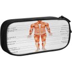 Trousse anatomie humaine 5, grande capacit� grande pochette porte - stylo