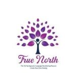 True north the nlp & hypnotic language manifesting planner - create your own destiny