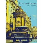 La vie en strapontin et autres nouvelles