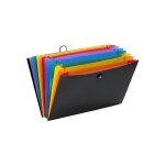 Viquel valise trieur rainbow 12 compartiments pp 10 / 10e noir int�rieur multicolor