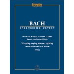 Weeping, crying, sorrow, sighing / conducteur de poche