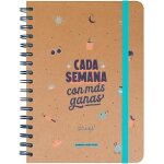 Wonder agenda hebdomadaire 2024 / 25 avec 8 feuilles d'autocollants