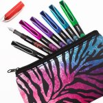 Zebra fuente lot de 7 stylos plume jetables une de chaque couleur d'encre comprend une trousse crayons ...
