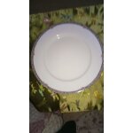 10 assiettes porcelaine limoges