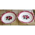 2 assiettes plates sarreguemines digoin modle cibon aux roses - diamtre 22cm