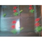 4 assiettes en verre '(2 repas, 2 dessert) rectangulaires motif coquelicot
