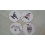 4 dessous de verre ronds cartonn�s oiseaux pie - gri�che ecorcheur / pic vert / faucon p�lerin / tourterelle ...