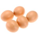5pcs faux oeuf plastique aide pondre poule outil agricole volaille