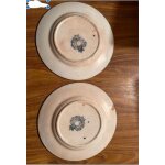 Ancienne assiette porcelaine dresden pb & cie dcor fleurs japonisantes xixe