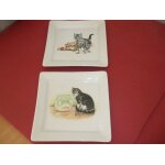 Assiettes carres chats
