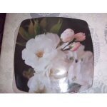Assiettes plastiques Assiettes plastiques