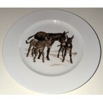 Assiette plate  anes  - porcelaine limoges