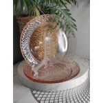 Assiettes plates a dessert arcoroc rosaline Assiettes plates a dessert arcoroc rosaline