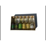 Bouteilles mignonnettes de chartreuse / vep / genepi - 1966 / 79 - parfait etat (voir photos) - niveau ...