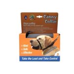 Canny collar 1