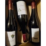 Carton de 6 btls les camelias domaine les demoiselles de pallus 2013