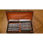 Coffret de 12 couteaux inox guy degrenne