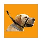 Collier licol canny collar et colossus Collier licol canny collar et colossus