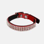 Collier en strass pour chat - wouapy