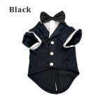 Costume de cosplay avec nud papillon pour animal de compagnie, chien, jeune homme, tuxedo, chat, chiot, ...