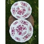 Ensemble de deux assiettes plates anciennes sarreguemines aubusson