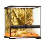 Exoterra terrarium en verre pour reptiles et amphibiens 20x20x30 cm