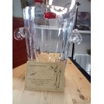 Grand seau a champagne cristal de lorraine