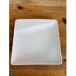 Grande assiette pour ap�ro