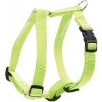 Harnais nylon r�glable 20mm - turquoise