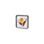 Harry potter - hedgwig avec lettre - lampe de bureau 3d