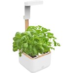 Jardin d'intrieur essentielb eve