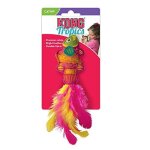 Kong cat tropics poisson rose