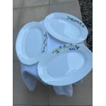 Lot de 3 assiettes ovale luminarc peinte a la main.
