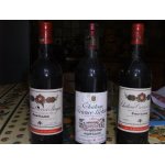 Lot de 3 bouteilles de grands vins du medoc : pauillac et margaux Lot de 3 bouteilles de grands vins du medoc : pauillac et margaux